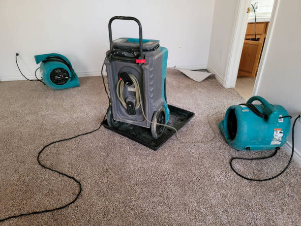 Sewage cleanup and water damage restoration in Buckeye, AZ
