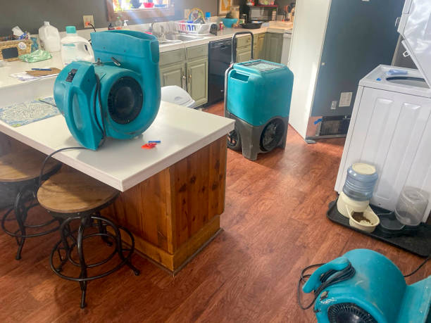 Best Local water damage restoration  in Buckeye, AZ