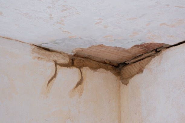 Local water damage restoration in Buckeye, AZ