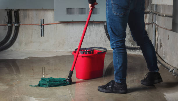 Best Flooded house restoration  in Buckeye, AZ