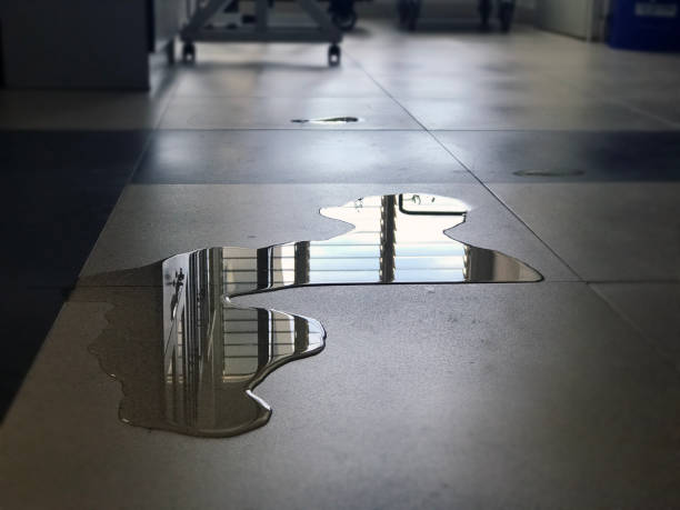 Best Water damage restoration process  in Buckeye, AZ
