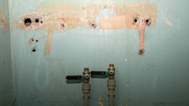 Best Flood damage cleanup  in Buckeye, AZ