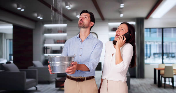Best Basement water damage restoration  in Buckeye, AZ