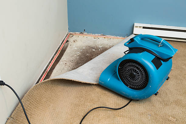Best Water damage restoration near me  in Buckeye, AZ